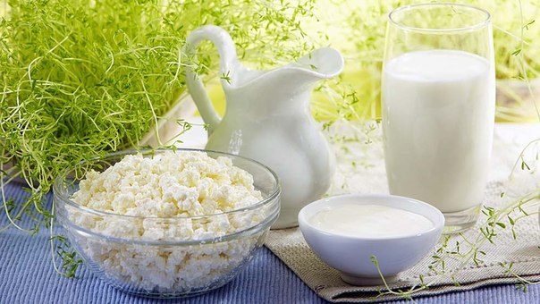 Quale ricotta da dare per i bambini di meno di un anno