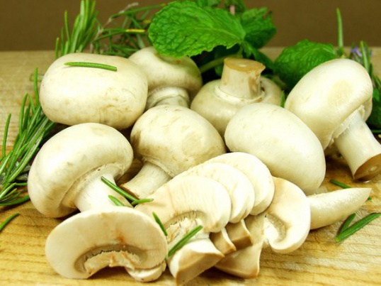 Quello che devi sapere su champignons