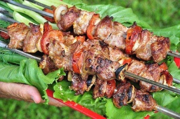 Appetitoso shish kebab