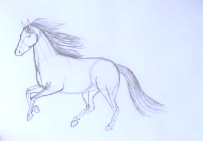 Come disegnare un cavallo in fasi