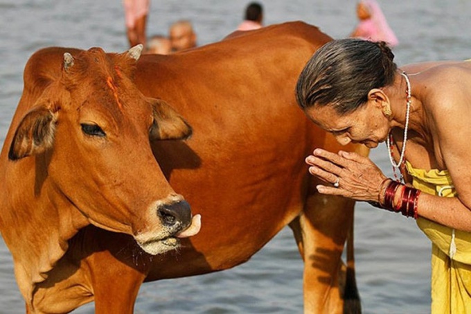 Che carne è permesso mangiare gli indiani