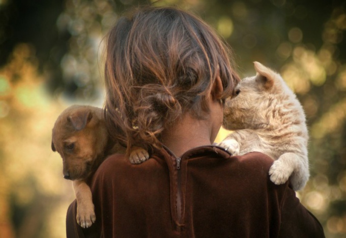 Perché la gente ama gli animali