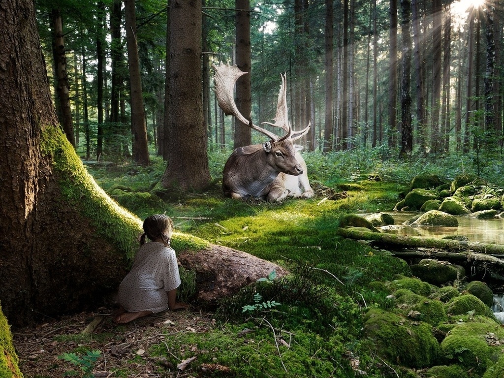 Suggerimento 1: perché le persone non proteggono la natura