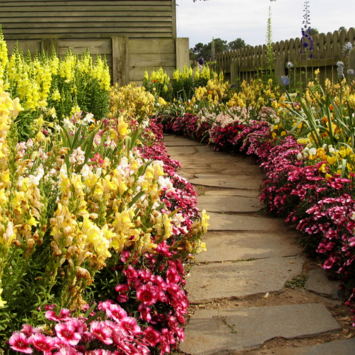 Come correttamente fare percorsi in giardino