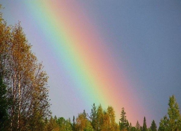 Tutto sull'arcobaleno come fenomeno fisico