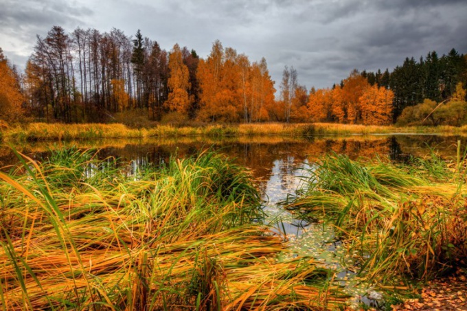 Dove puoi rilassarti a novembre in Russia