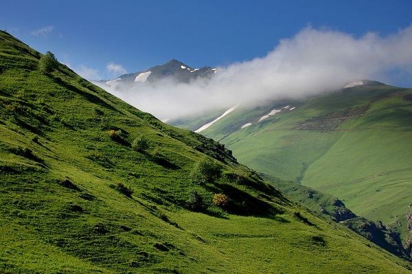 Com'è il Festival di Kadıgra in Turchia?