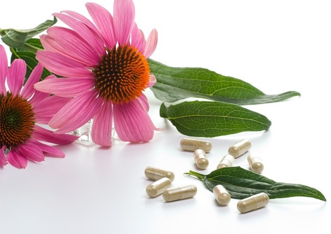 Echinacea in compresse: istruzioni per l'uso