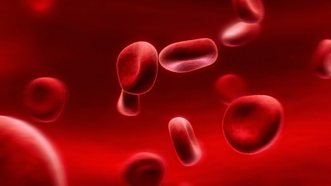 Suggerimento 1: Quanto sangue può perdere una persona senza pericolo per la vita