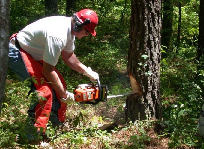 Suggerimento 1: Come costruire un nido per i polli