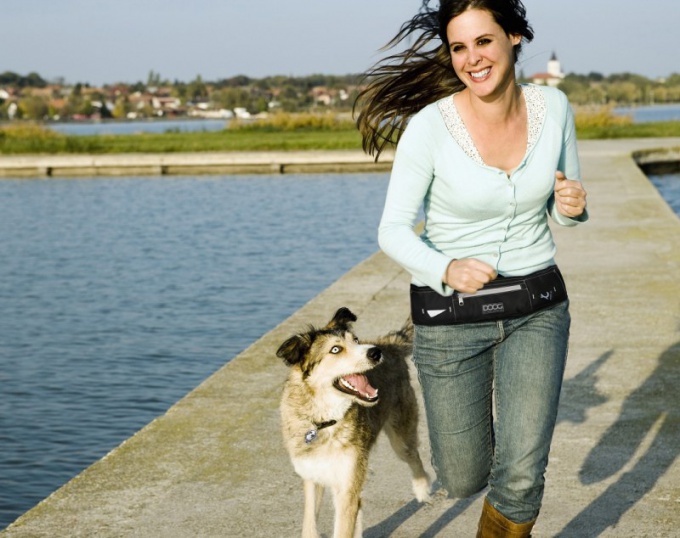 Come prolungare la vita di un cane